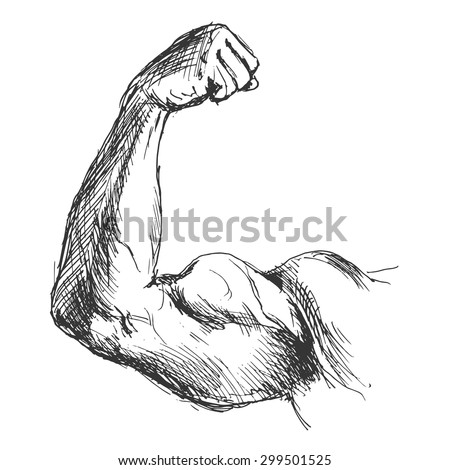 Hand Sketch Biceps Stock Vector 299501525 : Shutterstock