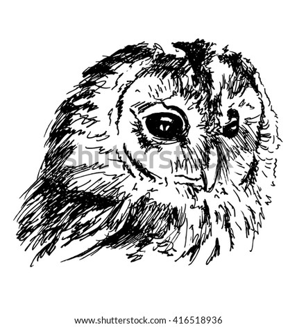 Hand sketch owl head. Vector illustration