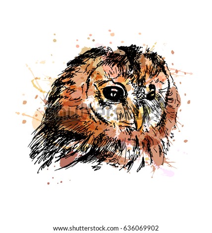Colored hand sketch owl head. Vector illustration