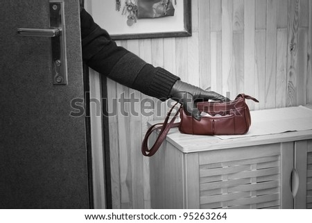 Thief breaking in doors and stealing a handbag.