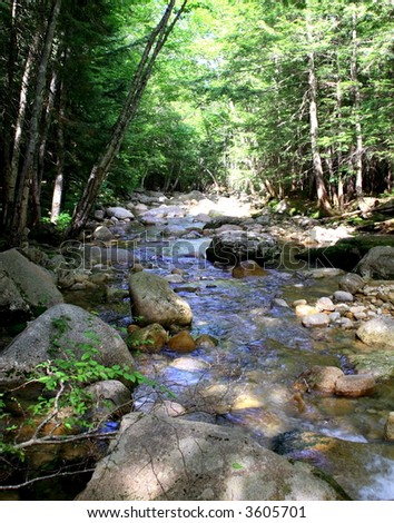 Rocky stream in the forest