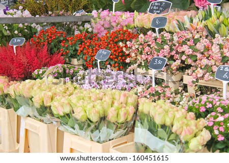 Flowers for sale at a Dutch flower market,  Netherlands