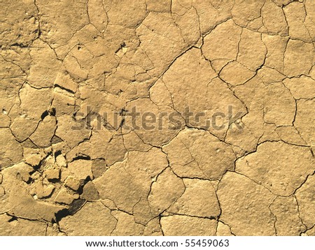 Footprint in dry mud in the desert
