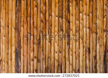 background  pattern nature detail of wood texture decorative furniture surface