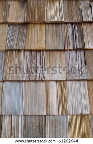 texture of cedar wood in natural