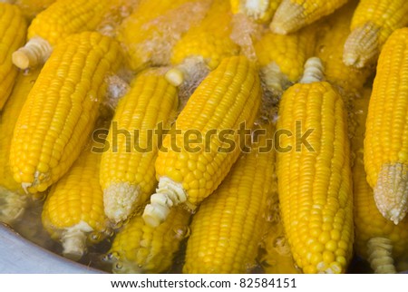 fresh corn in boiling water at market