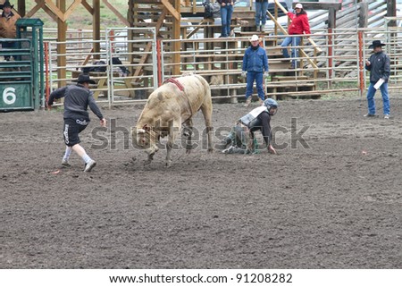 MERRITT, B.C. CANADA - MAY 15: Unidentified cowboy in the arena after falling of a bull, the bull being distracted, during a Bull Riding event at Nicola Valley Rodeo on May 15, 2011 in Merritt, British Columbia, Canada