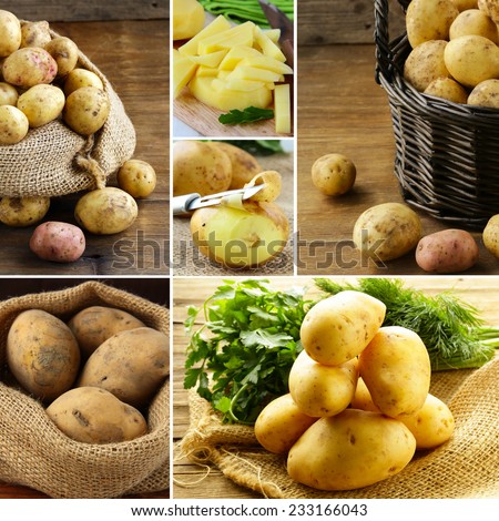 collage of fresh organic potatoes in bags and baskets, rustic style