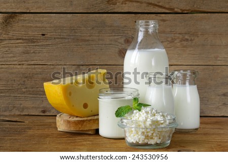assortment of dairy products (milk, cheese, sour cream, yogurt)