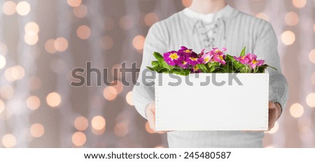 gardening, holidays and people concept - close up of man holding big pot with flowers over lights background