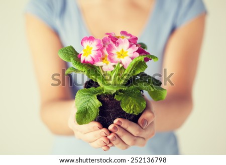 close up of woman's hands holding flower in soil