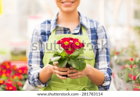 people, gardening and profession concept - close up of happy woman or gardener holding flowers at greenhouse or shop