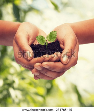 fertility, environment, ecology, agriculture and nature concept - closeup of woman hands holding plant in soil over green background