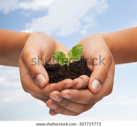 fertility, environment, ecology, agriculture and nature concept - closeup of woman hands holding plant in soil over blue sky and grass background