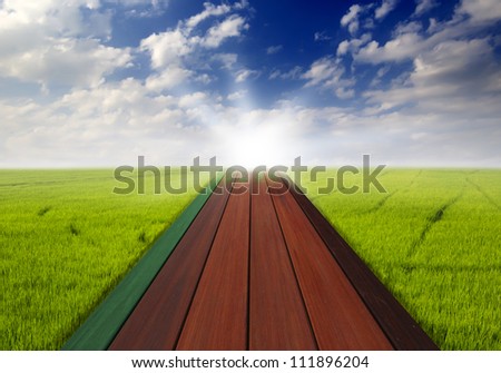 Wood Path on Rice field with cloudy landscape background