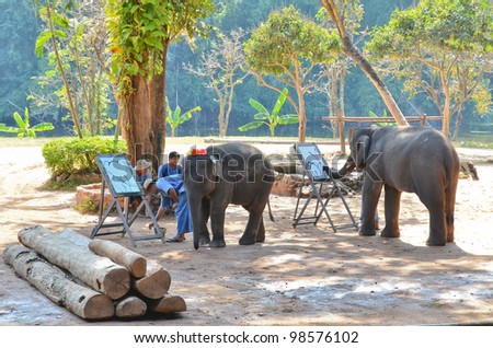 LAMPANG, THAILAND - NOV. 30: The mahout train elephant to draw picture.They have show twice in day. In The Thai Elephant Conservation Center (TECC) at Lampang. November 30, 2011 in Lampang, Thailand.