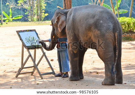 LAMPANG, THAILAND - NOV. 30: The mahout train elephant to draw the picture.They have show twice in day. The Thai Elephant Conservation Center (TECC) at Lampang. November 30, 2011 in Lampang, Thailand.