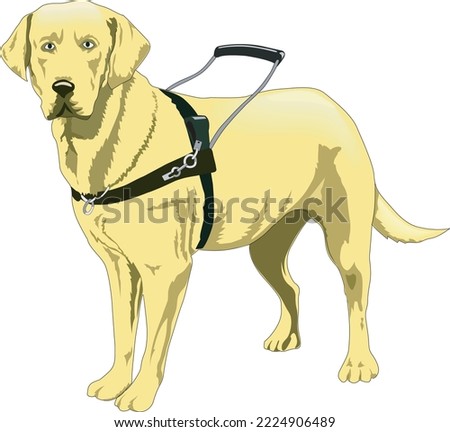 Seeing Eye Guide Dog Vector Illustration