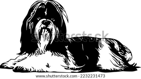 Shih Tsu Dog Vector Illustration