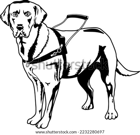 Seeing Eye Guide Dog Vector Illustration