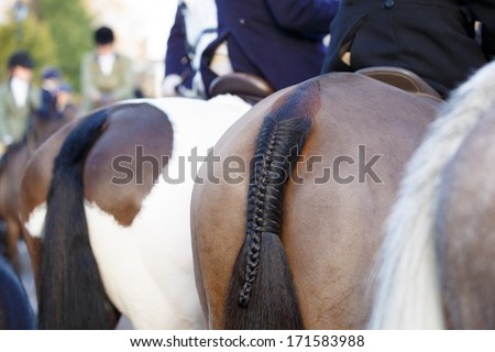 Braided pony tail, close up
