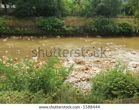 polluted river with lush green vegetation