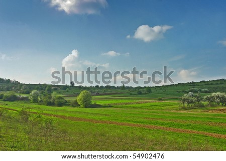 Farm land with blue sky and green spring grass and meadows