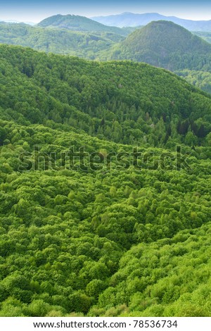 Hills and forests seen from above