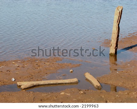 Pieces of wood on a dry lake beach