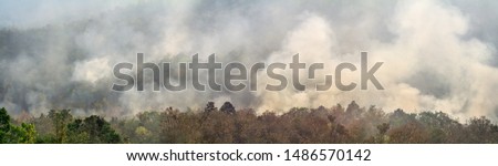 Similar – Foto Bild Gefahr eines Waldbrandes bei großer Trockenheit