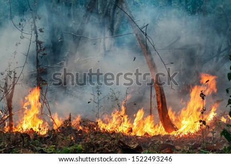 Similar – Image, Stock Photo Land destruction for air pollution in NRW