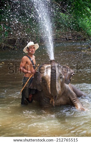 CHIANG MAI, THAILAND - Aug. 24: Daily elephants bath at The Mae-Pin Elephant Camp, mahouts bath and clean the elephants in the the river , August 24, 2014 in Chiangmai, Thailand.