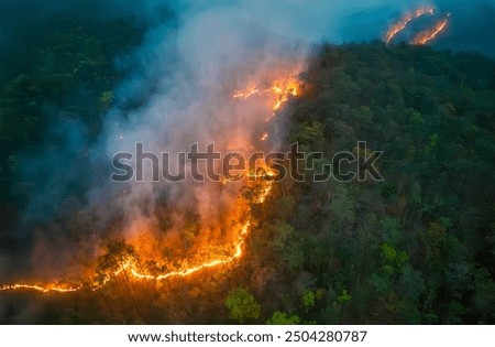 Similar – Image, Stock Photo arid Environment Nature