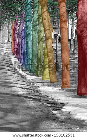 Avenue black and white with rainbow colored trees