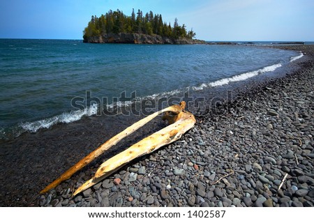 Strange tree branch facing an island on Lake Superior North Shore. More with keyword Series14.