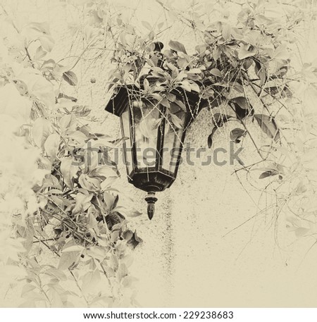 Antique Victorian Outdoor Wall Lamp surrounded by green leaves.  retro old style filtered image
