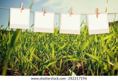 photo polaroid frames hanging on a rope over summer field landscape background
