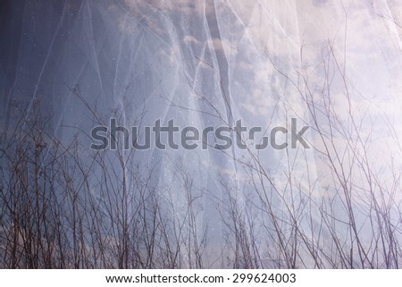 double exposure photo of tree branches in fall against sky and textured fabric layer