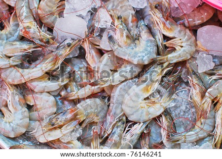 Fresh shrimps on ice tray in fresh market , closeup background