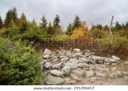 rocky plateau of the hills of Dolly Sods West Virginia mountains