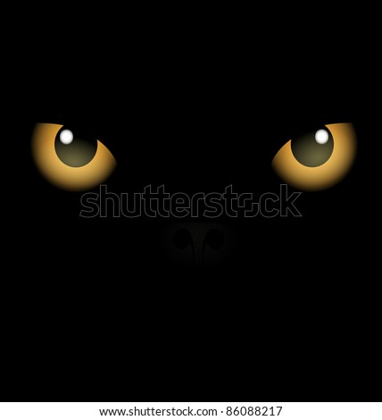 Black Background Yellow Eyes Stock Vector Illustration 86088217 ...