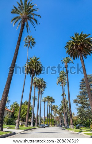 Similar – Image, Stock Photo Tall palms of Beverly Hills in Los Angeles r