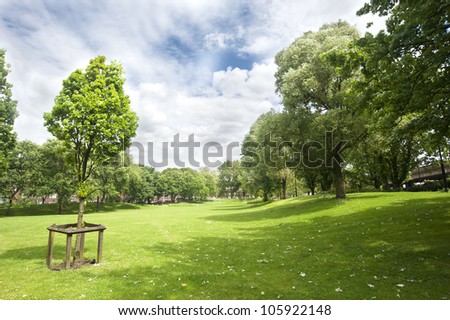Summer in Westbourne Green Park, London (UK)