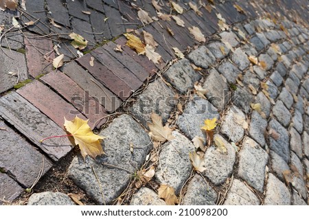 Autumn Brick Road with Yellow Leaves background