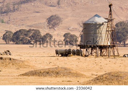 Sheep in the shade at a water tank in rural Australia.  The tank was filled by the windmill, but is now filled by a pump.  The area is in the middle of a long standing drought.