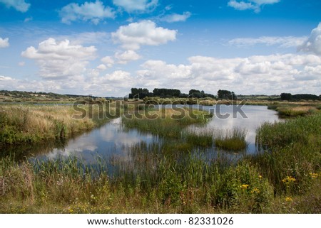 Marshy lake with blue sky and clouds. Rutland water England
