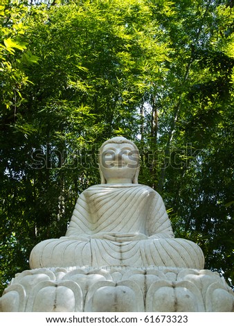 Buddha white jade statue in the bamboo forest