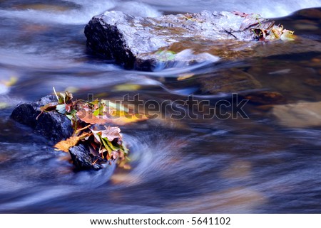 peaceful scene of autumn leaves on a rock in the river