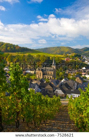 small village and vineyards along the mosel river in germany