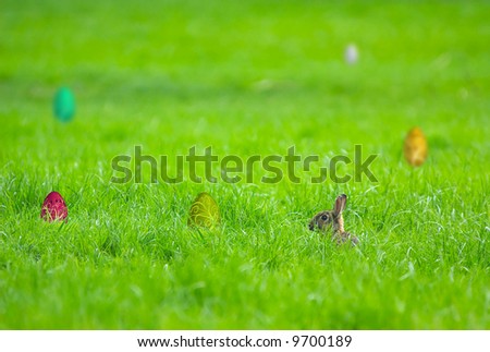 Rabbit hidden in the grass with easter eggs